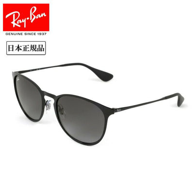 Ray-Ban レイバン ERIKA METAL エリカメタル 0RB3539