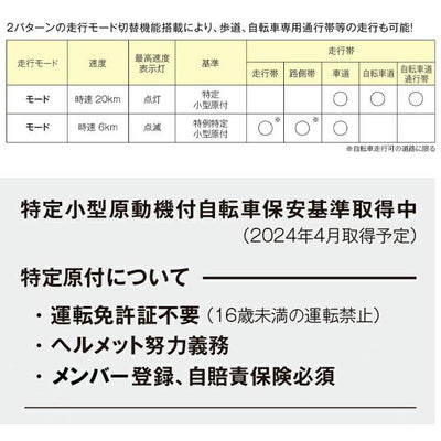 【送料無料対象外】電動キックボード MTM japan MTM RiSE 特定小型原動機付自転車