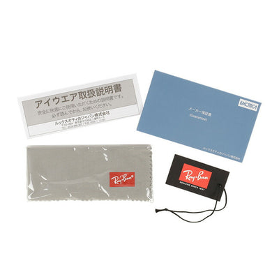 Ray-Ban レイバン NEW WAYFARER WASHED LENSES ニューウェイファーラーウォッシュドレンズ 0RB2132F