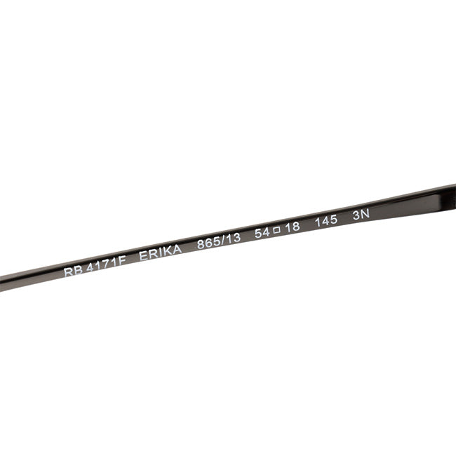 Ray-Ban レイバン ERIKA CLASSIC エリカクラシック 0RB4171F