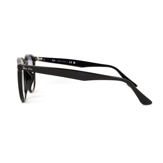Ray-Ban レイバン RB4259