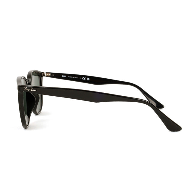 Ray-Ban レイバン RB4259