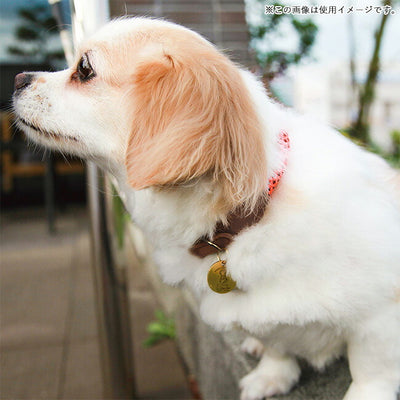 DOGS FOR PEACE ドッグスフォーピース CLIMBING ROPE COLLAR S クライミングロープカラーS 960012