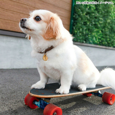 DOGS FOR PEACE ドッグスフォーピース CLIMBING ROPE COLLAR S クライミングロープカラーS 960012