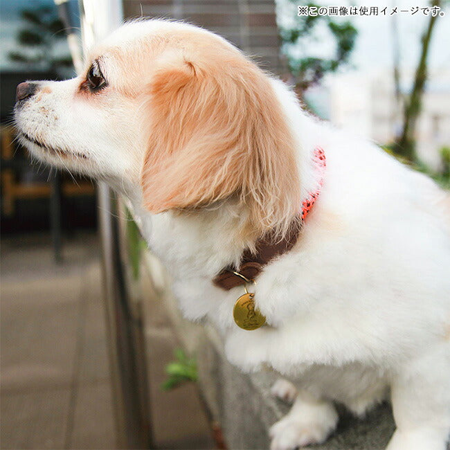 DOGS FOR PEACE ドッグスフォーピース CLIMBING ROPE COLLAR M クライミングロープカラーM 960012