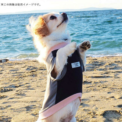 DOGS FOR PEACE ドッグスフォーピース TECH TEE XS テックTシャツXS 960019