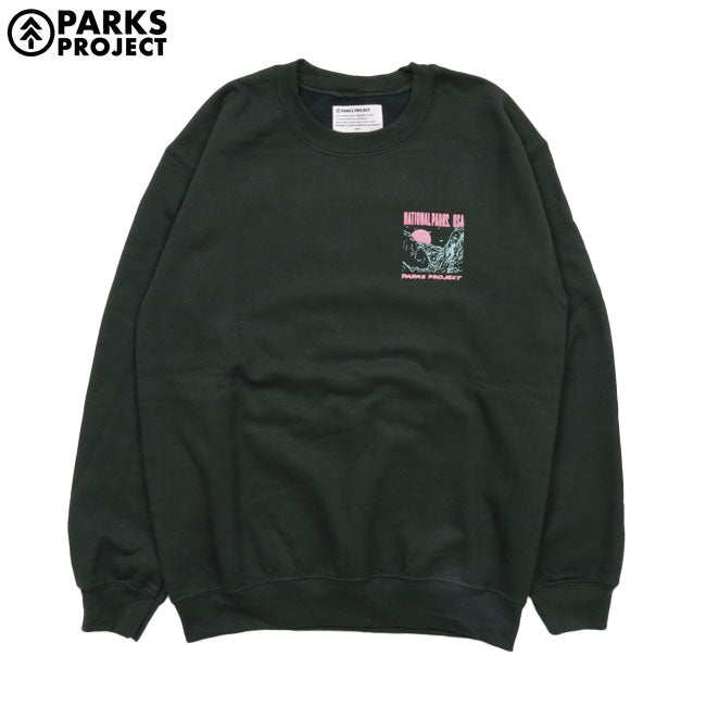 PARKS PROJECT パークスプロジェクト National Parks Puff Print P/O Sweat ナショナルパークスパフプリントプルオーバースウェット PP24AW-006US
