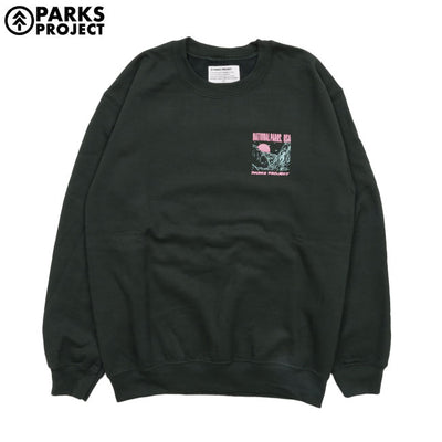 PARKS PROJECT パークスプロジェクト National Parks Puff Print P/O Sweat ナショナルパークスパフプリントプルオーバースウェット PP24AW-006US