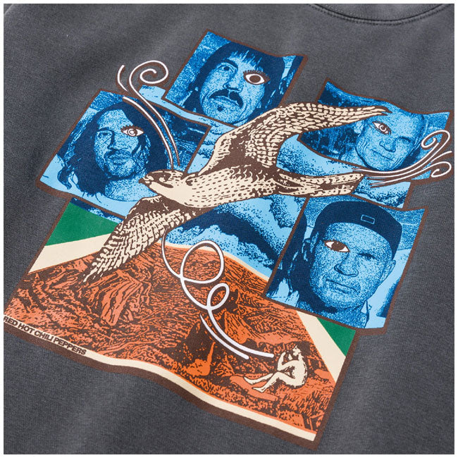 Red Hot Chili Peppers Crew Sweat レッドホットチリペッパーズクルースウェット Charcoal PP007035
