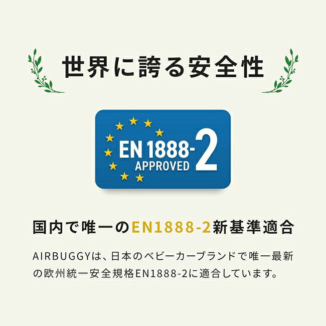 AIRBUGGY エアバギー DOME3 LARGE ドーム3ラージ AD260