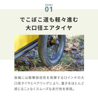 AIRBUGGY エアバギー キャリッジ 2点セット [台車・ルーフ] MossGreen AD3057