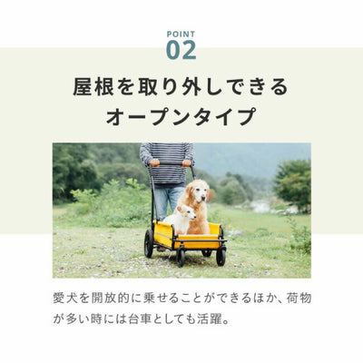 AIRBUGGY エアバギー キャリッジ 2点セット [台車・ルーフ] MossGreen AD3057