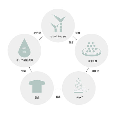 Merino PlaX Beanie メリノプラックスビーニー