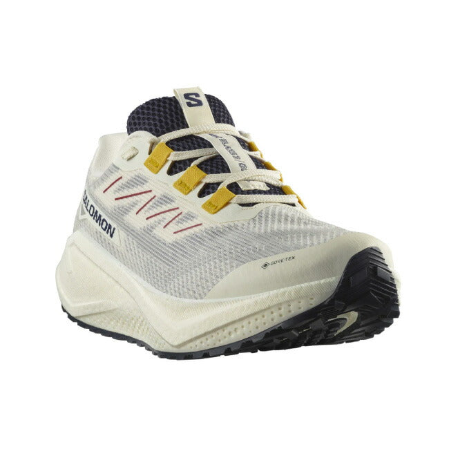 SALOMON サロモン AERO BLAZE 3 GRVL GORE-TEX エアロブレイズ3グラベルゴアテックス Vanilla Ice/Astral Aura/Lemon L47953200