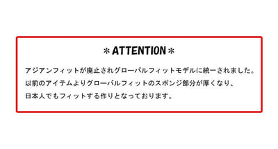 Fall Line L フォールライン Matte Black / Prizm 24K Iridium
