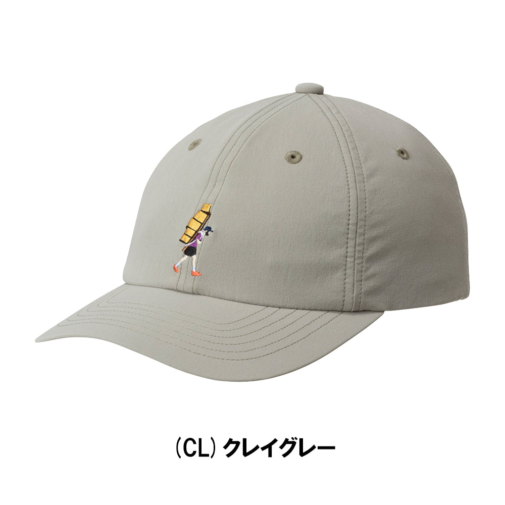 THE NORTH FACE | Flexible Graphic Cap フレキシブルグラフィック