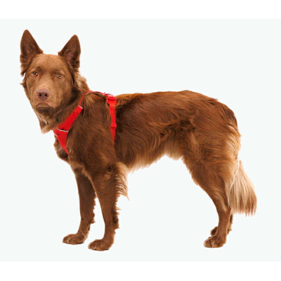 RUFFWEAR ラフウェア フロントレンジハーネス S 30503