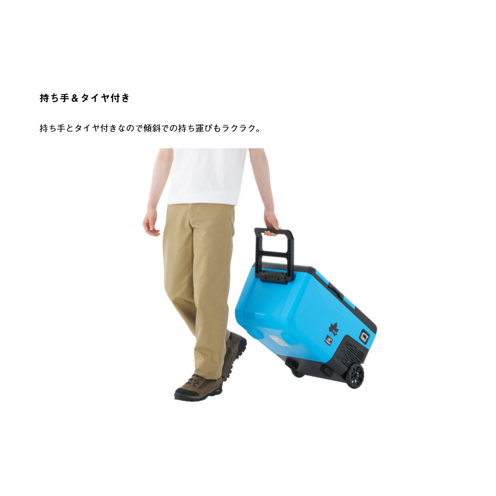 LOGOS - (野電)エレキャン・凍結冷凍冷蔵庫 25-BF(-30℃/20℃ 2ドア