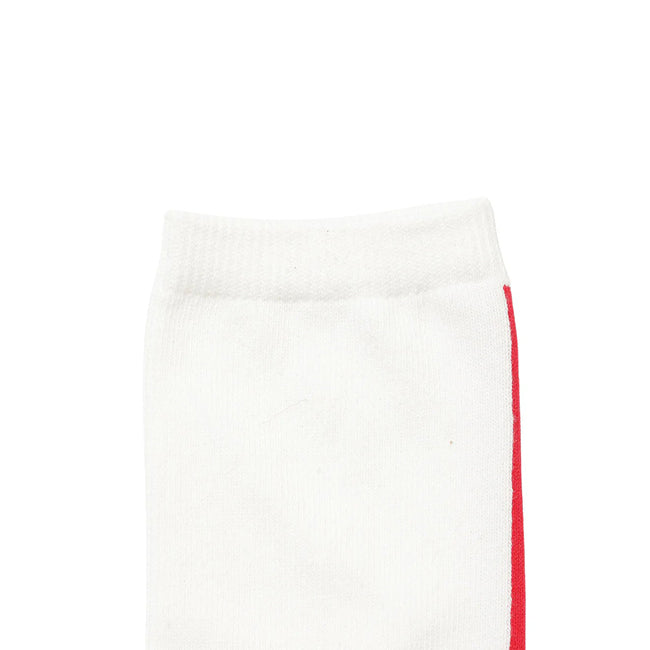 VERTICAL LINE&LOGO SOCKS バーティカルライン&ロゴソックス N2532-3H074A