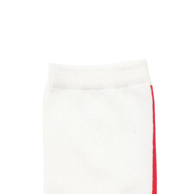 VERTICAL LINE&LOGO SOCKS バーティカルライン&ロゴソックス N2532-3H074A
