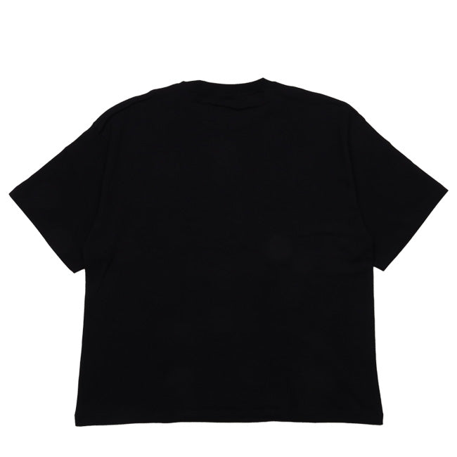 go slow caravan ゴースローキャラバン USA/C プールクマ BIG TEE 341920