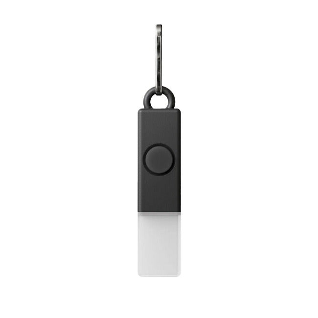 BOOKMAN ブックマン Lightstick USB-C ライトスティック BM-581/BM-582/BM-585