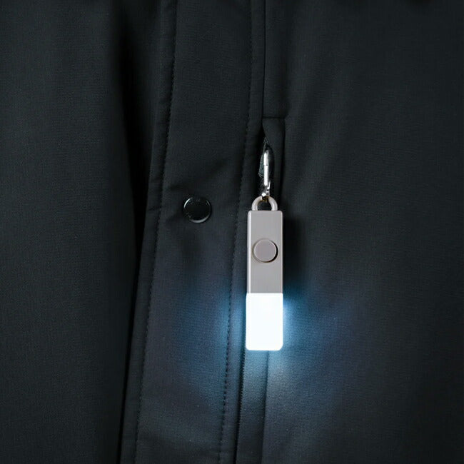 BOOKMAN ブックマン Lightstick USB-C ライトスティック BM-581/BM-582/BM-585