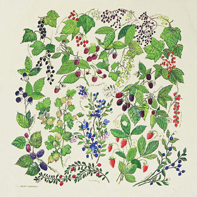LIBERTY GRAPHICS リバティーグラフィックス Berries ベリーズ 269