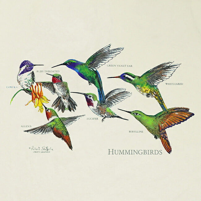 LIBERTY GRAPHICS リバティーグラフィックス Hummingbirds ハミングバード 472