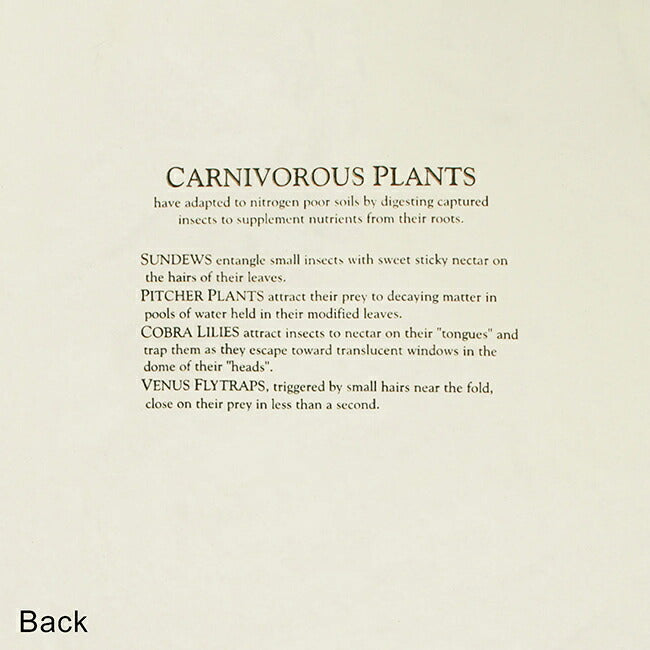 LIBERTY GRAPHICS リバティーグラフィックス Carnivorous Plants カーニバラスプランツ 993