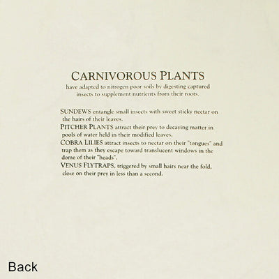 LIBERTY GRAPHICS リバティーグラフィックス Carnivorous Plants カーニバラスプランツ 993