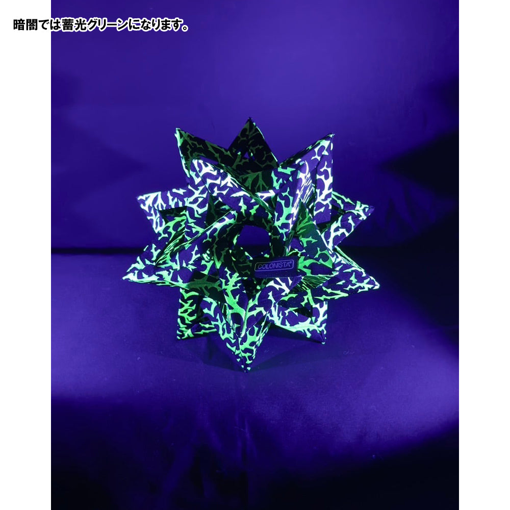 COLONISTA別注 CONPE10 TSGオリジナルカモ 蓄光ver T SPEC GEAR ティースペックギア×コロニスタ COLONISTA別注 CONPE10