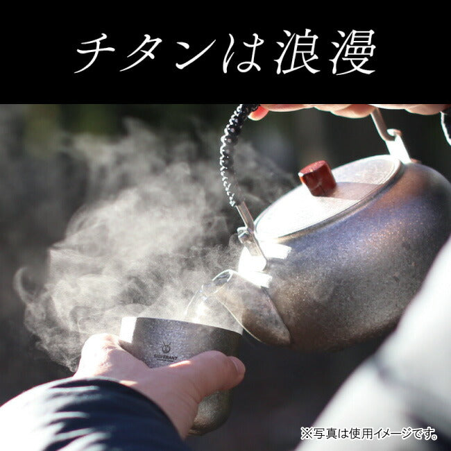 SILVERANT シルバーアント 結晶化チタン 急須 800ml SAHW91617T