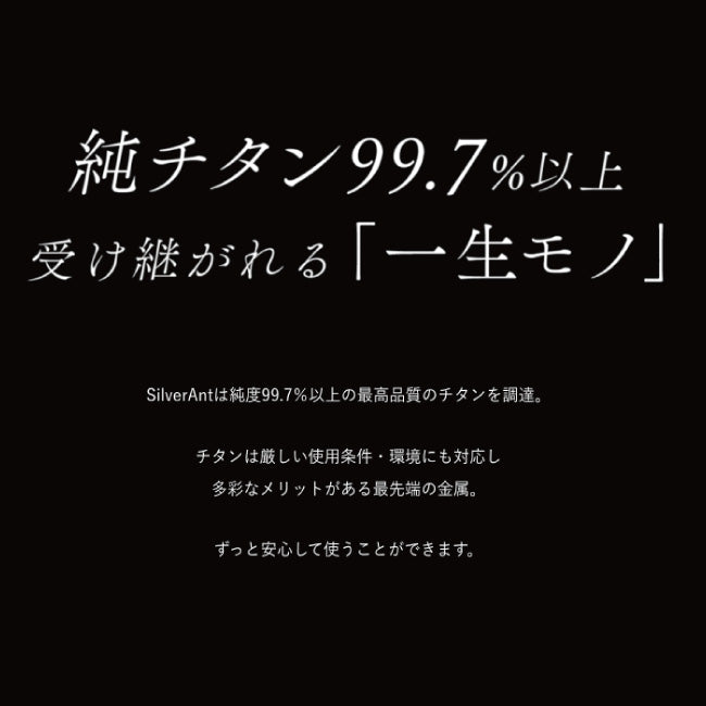 SILVERANT シルバーアント 結晶化チタン 急須 800ml SAHW91617T