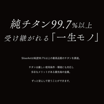 SILVERANT シルバーアント 結晶化チタン 急須 800ml SAHW91617T