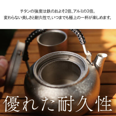 SILVERANT シルバーアント 結晶化チタン 急須 800ml SAHW91617T