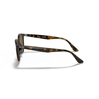Ray-Ban レイバン RB4259F 710/73 53