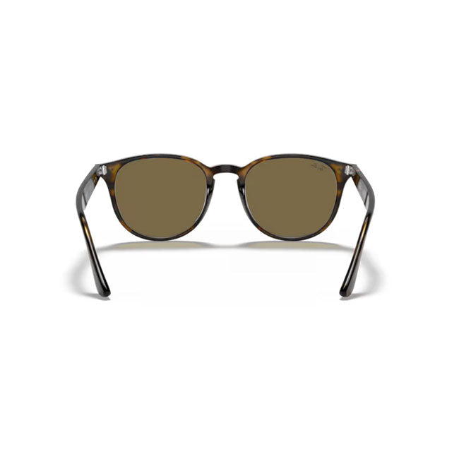 Ray-Ban レイバン RB4259F 710/73 53