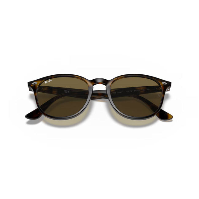 Ray-Ban レイバン RB4259F 710/73 53