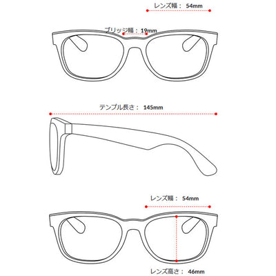 Ray-Ban レイバン ERIKA METAL RB3539 002/93 54