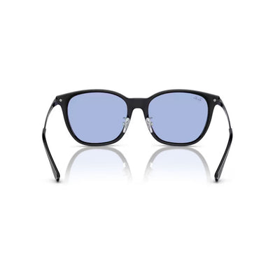 Ray-Ban レイバン RB4333D 674680 55