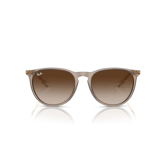 Ray-Ban レイバン ERIKA RB4171F 674413 54