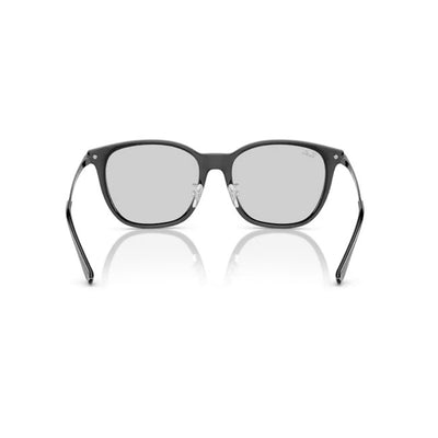 Ray-Ban レイバン RB4333D 601/87 55