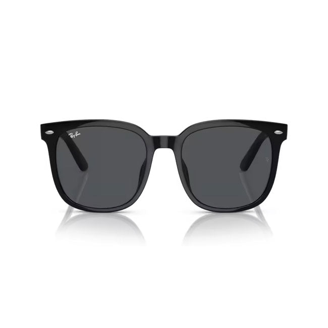 Ray-Ban レイバン RB4401D 601/87 57