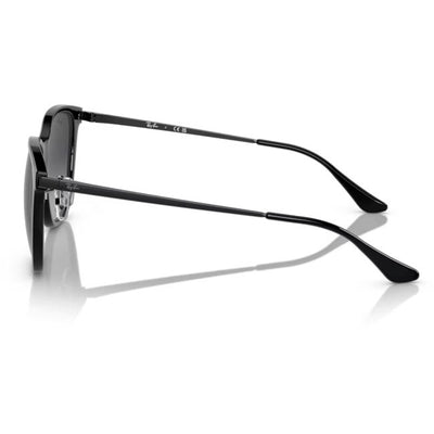 Ray-Ban レイバン RB4333D 601/8G 55