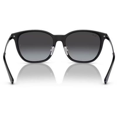 Ray-Ban レイバン RB4333D 601/8G 55