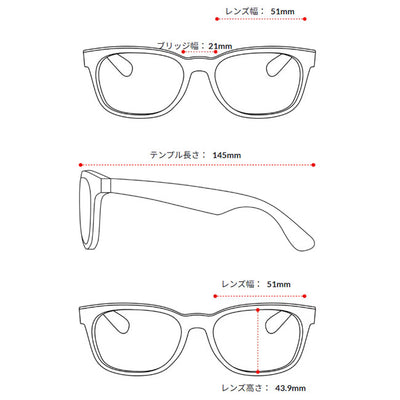 Ray-Ban レイバン CLUBMASTER RB3016 13543F 51