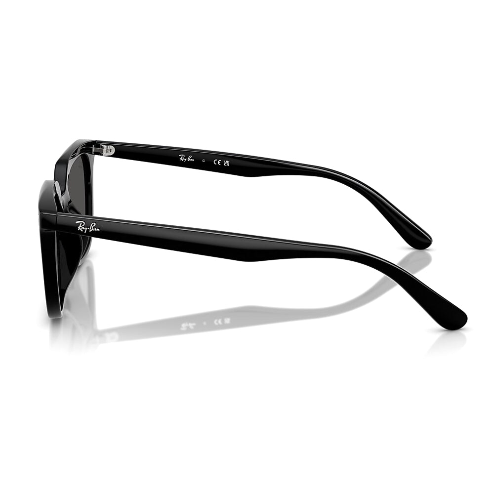 Ray-Ban - RB4439D 901/87 54｜サングラス | アウトドアショップOrange