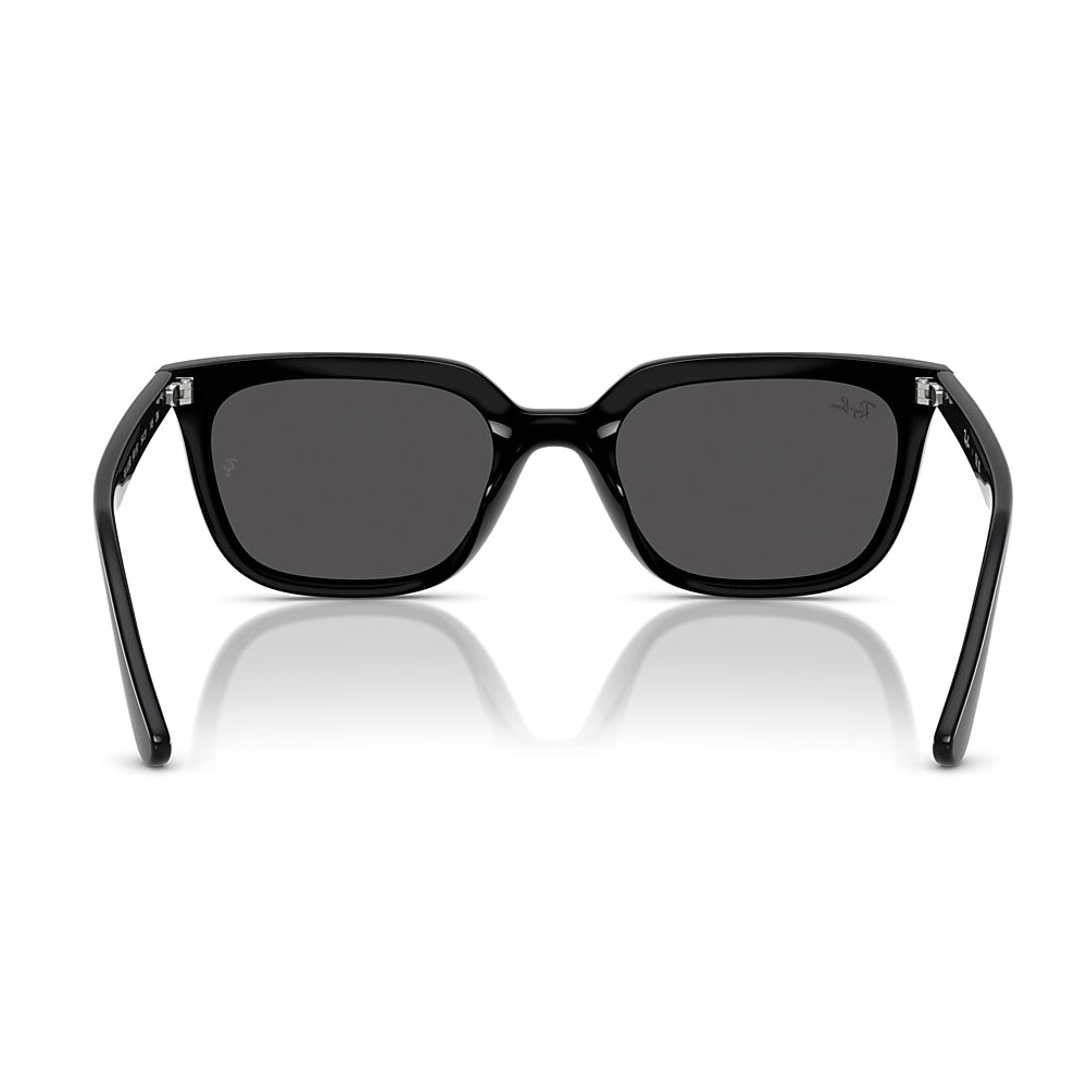 Ray-Ban - RB4439D 901/87 54｜サングラス | アウトドアショップOrange