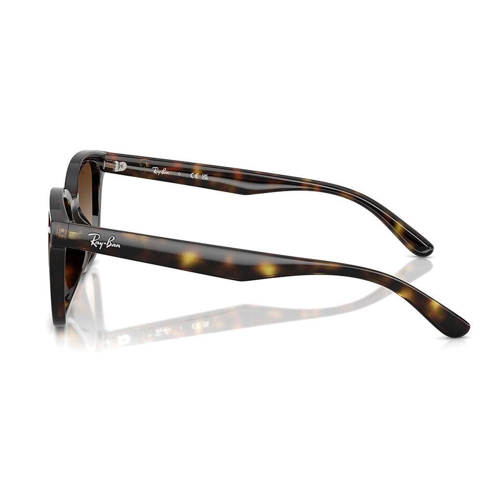 Ray-Ban - RB4461D 710/13 64 RB4461D | アウトドアショップOrange 通販